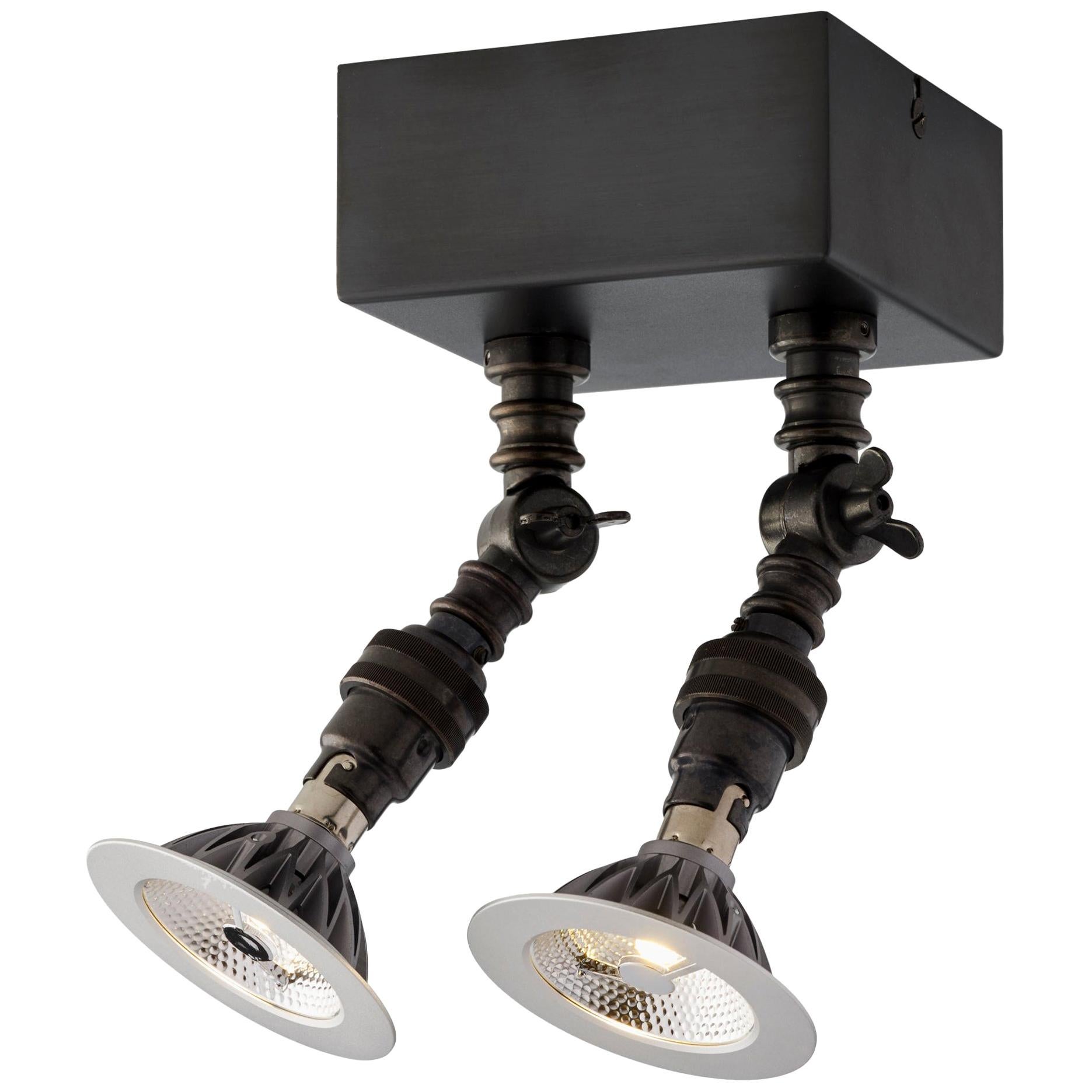 Tekna Lilley Spot Twin 12V Spot Light with Dark Bronze Finish For Sale