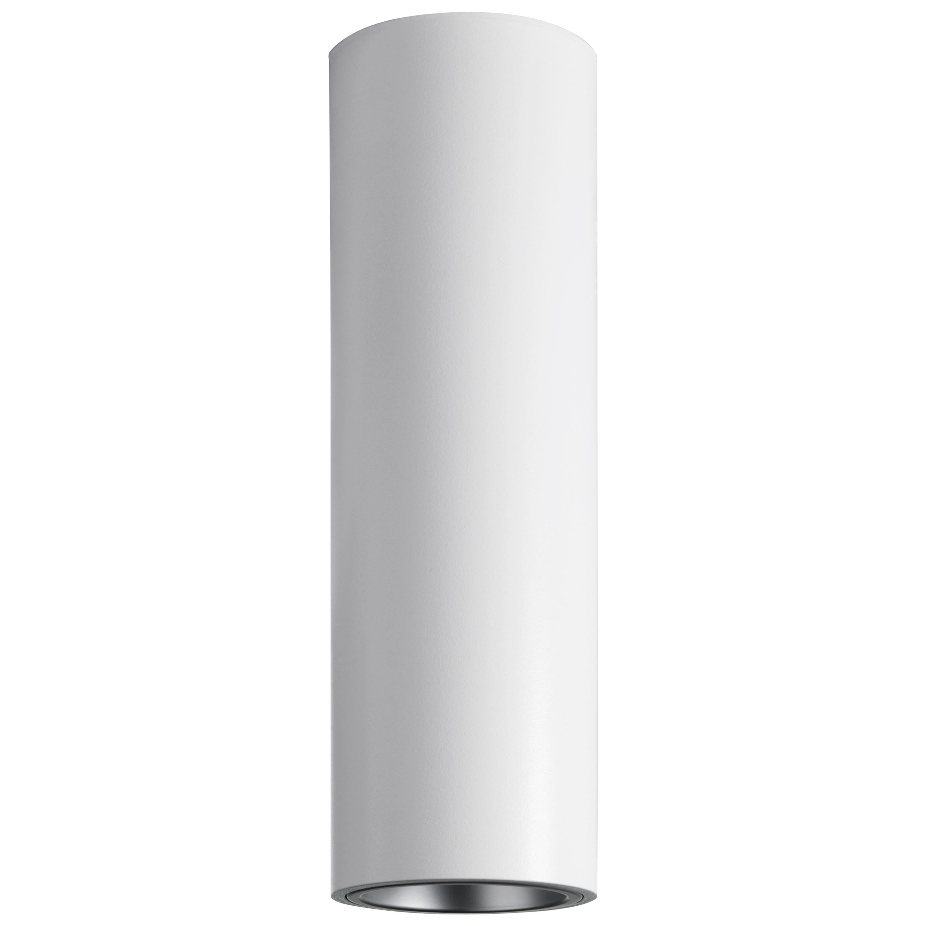Tekna Tube Ceiling Light with White Lacquer Finish and Chrome Reflector For Sale