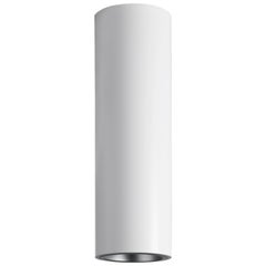Tekna Tube Ceiling Light with White Lacquer Finish and Chrome Reflector