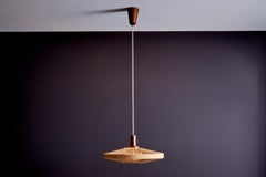 Temde Leuchten UFO Disc Pendant with Teakwood Centerpiece Germany 1970s