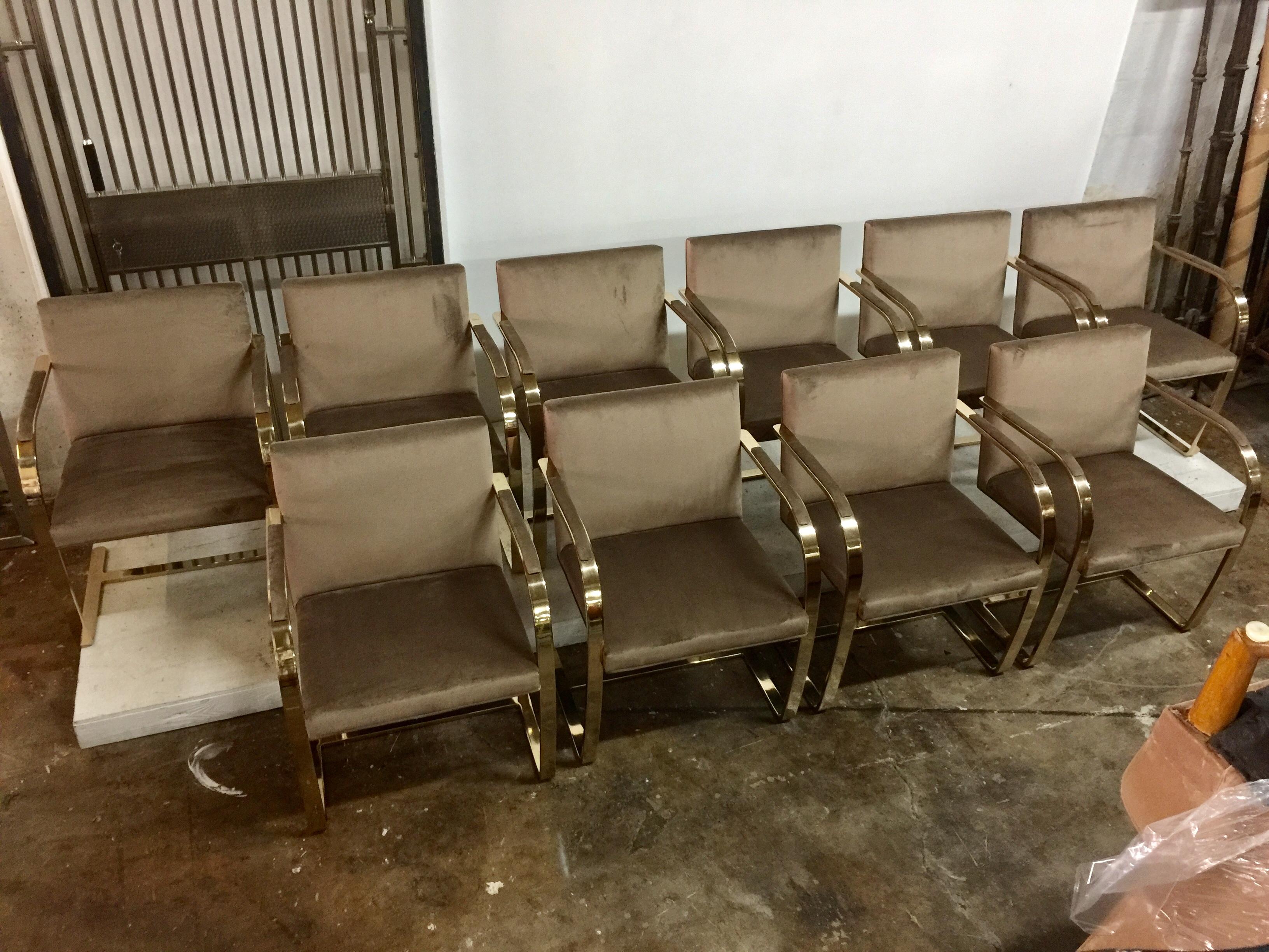 Ten '10' Vintage Solid Brass Brno Chairs by Ludwig Mies van der Rohe 5