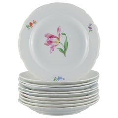 Ten antique Meissen dinner plates. Hand-painted with various polychrome flowers.