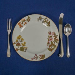 Ten Antique Royal Worcester Porcelain Dishes Made in England in 1877