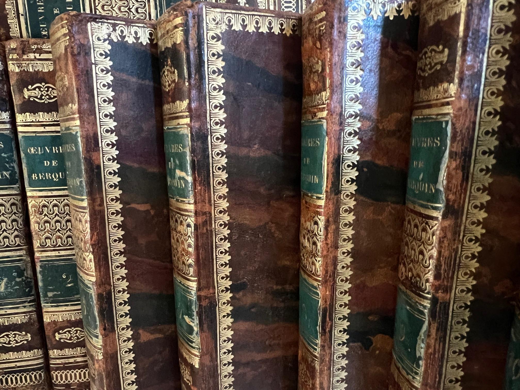 Francese Serie francese di libri per bambini di Arnaud Berquin - Set di 10, C.C. 1829 in vendita