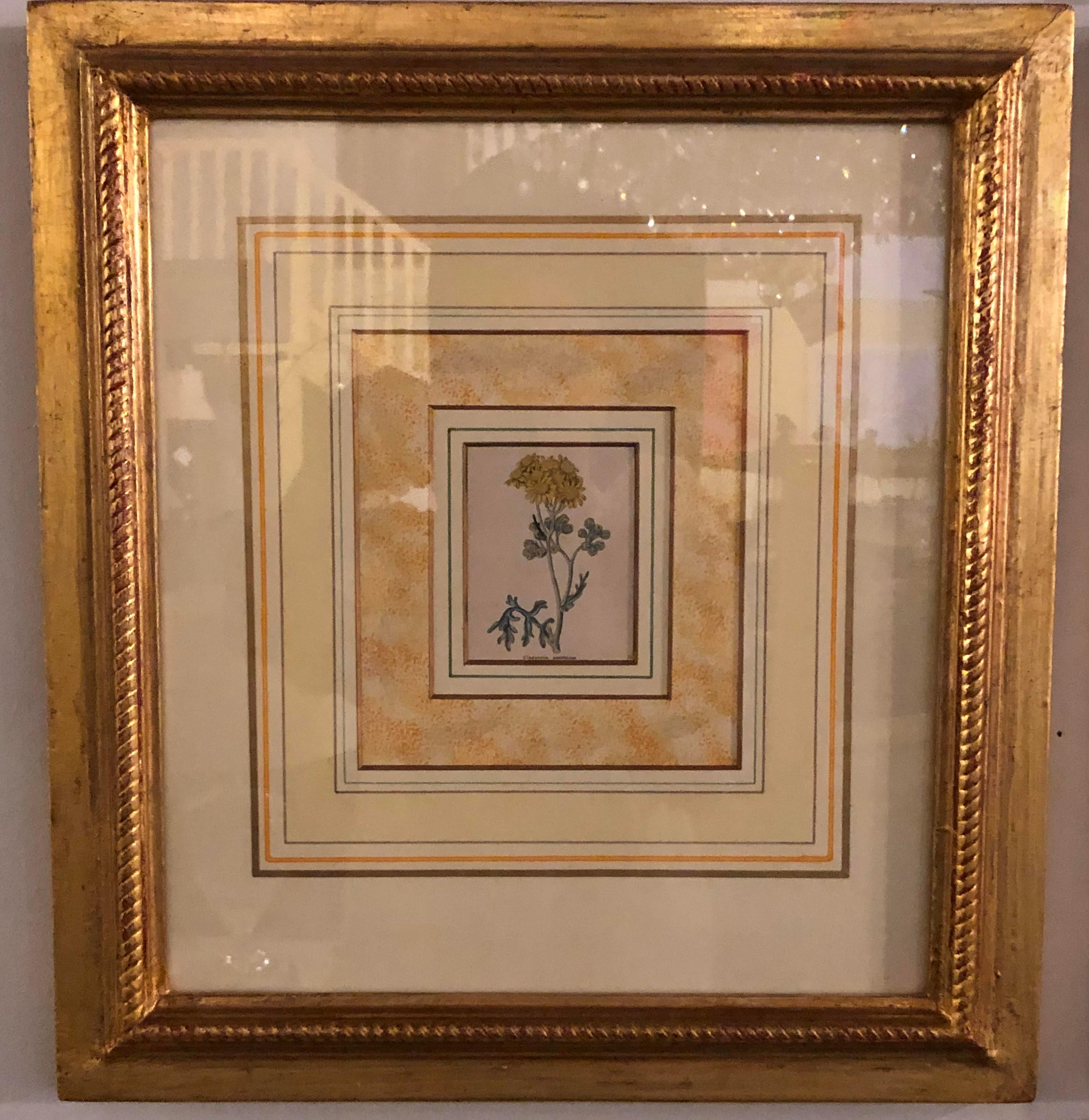 Ten Copperplate Engravings in Gilt Frames by Benjamin Maund, Judy Cormier Framed For Sale 3