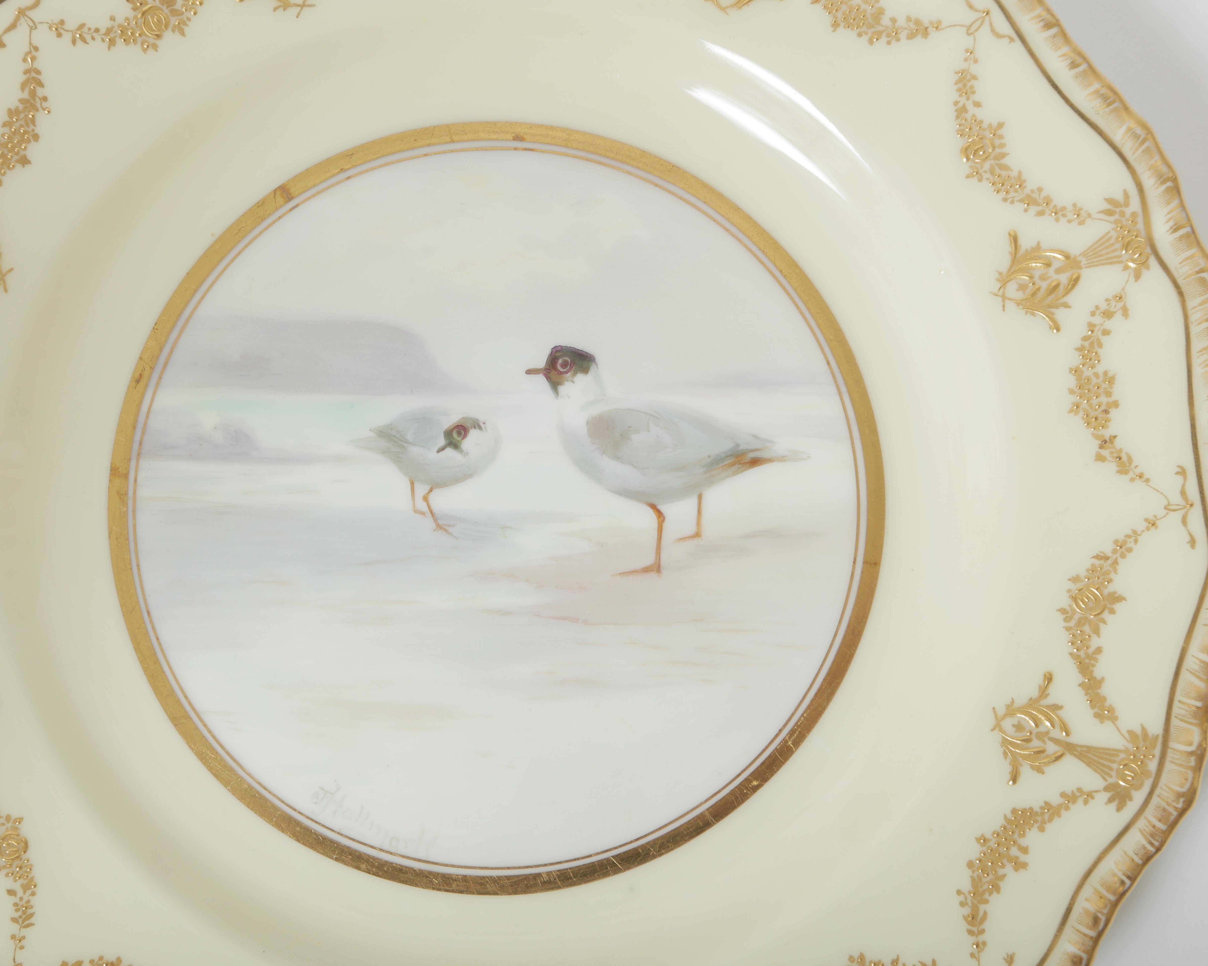 Ten Hand Painted Game Bird Plates, Raised Gold Accents, Antique English 3