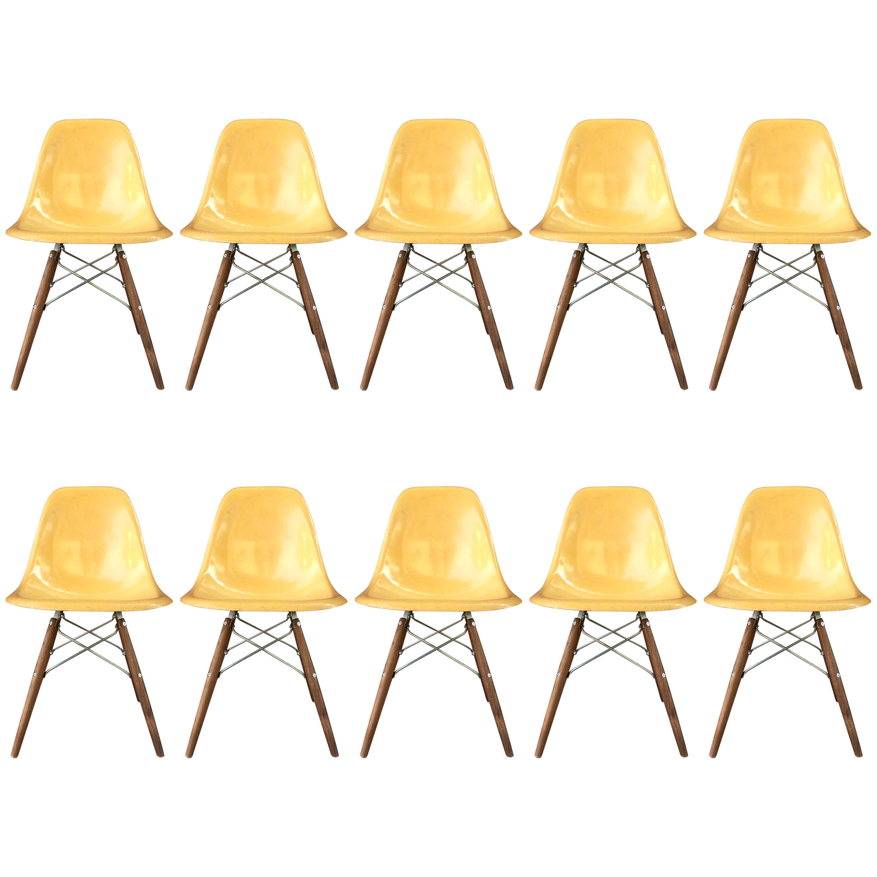 Ten Herman Miller Eames Ochre Dining Chairs