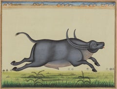 Ten Indian miniature paintings of animals