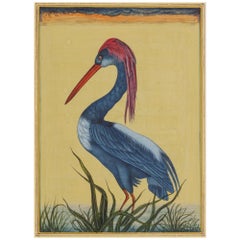 Ten Indian miniature paintings of animals