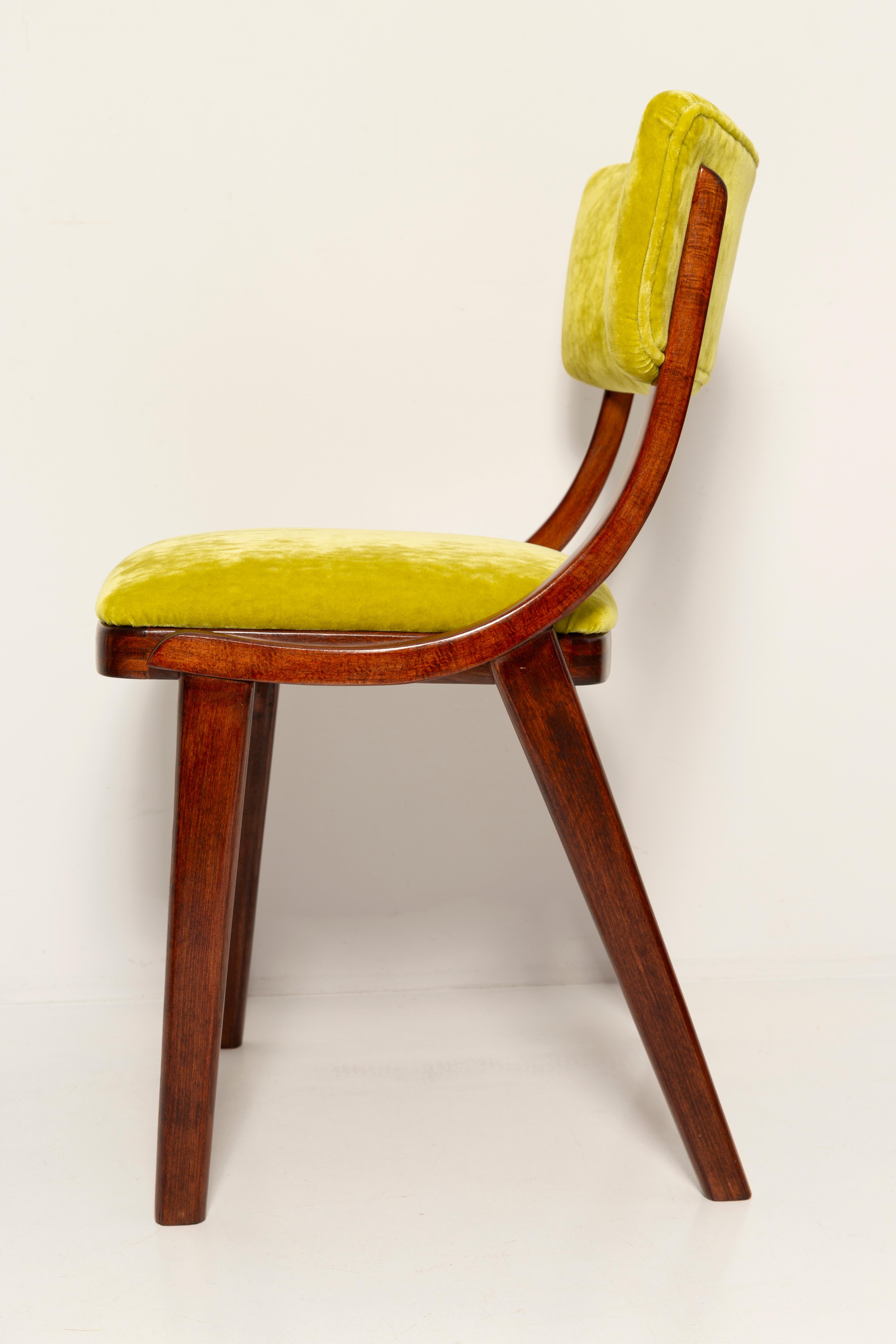 Ten Mid Century Modern Bumerang Chairs, Lime Velvet Plushy Dedar, Poland, 1960s For Sale 2