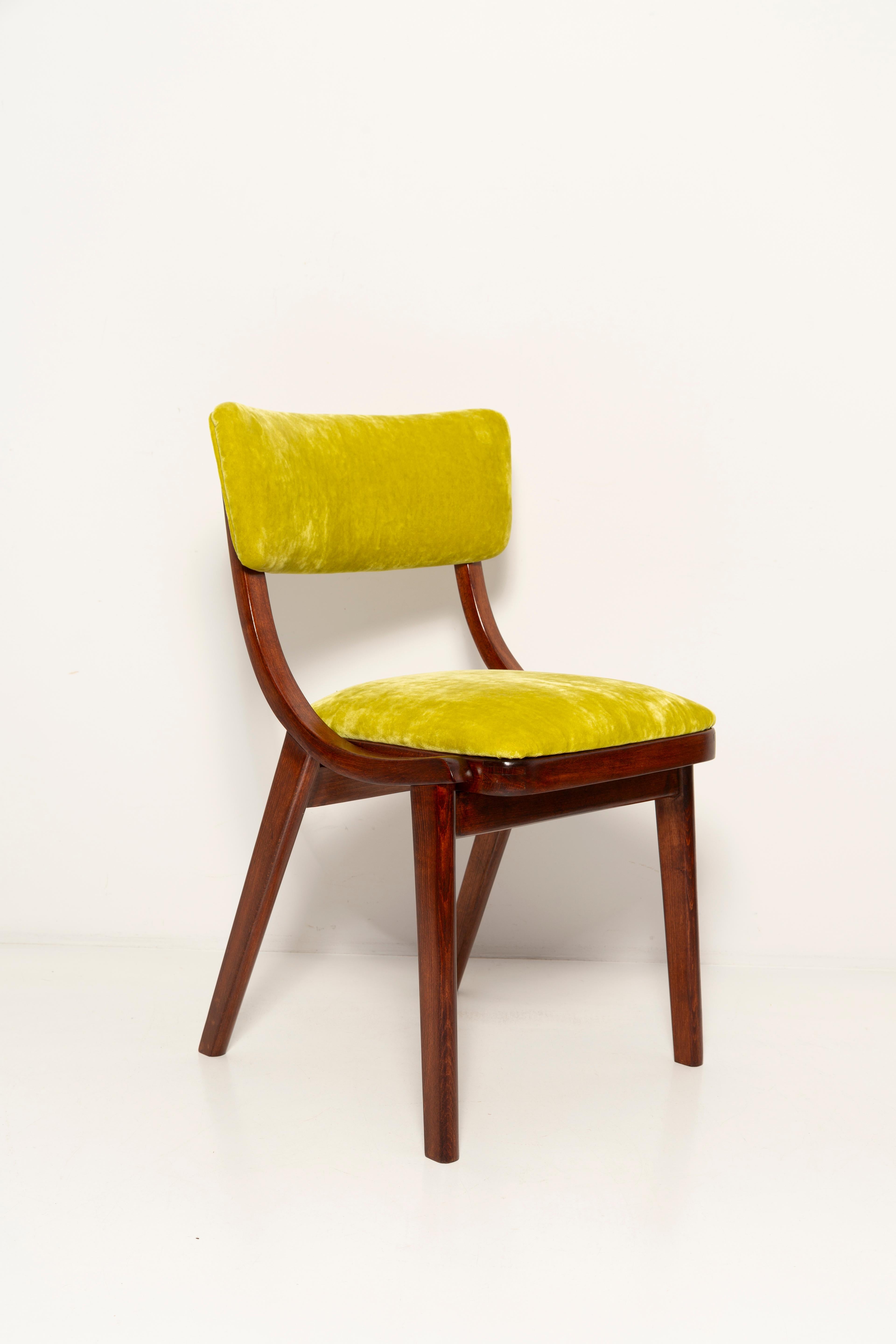 Ten Mid Century Modern Bumerang Chairs, Lime Velvet Plushy Dedar, Poland, 1960s In Excellent Condition For Sale In 05-080 Hornowek, PL