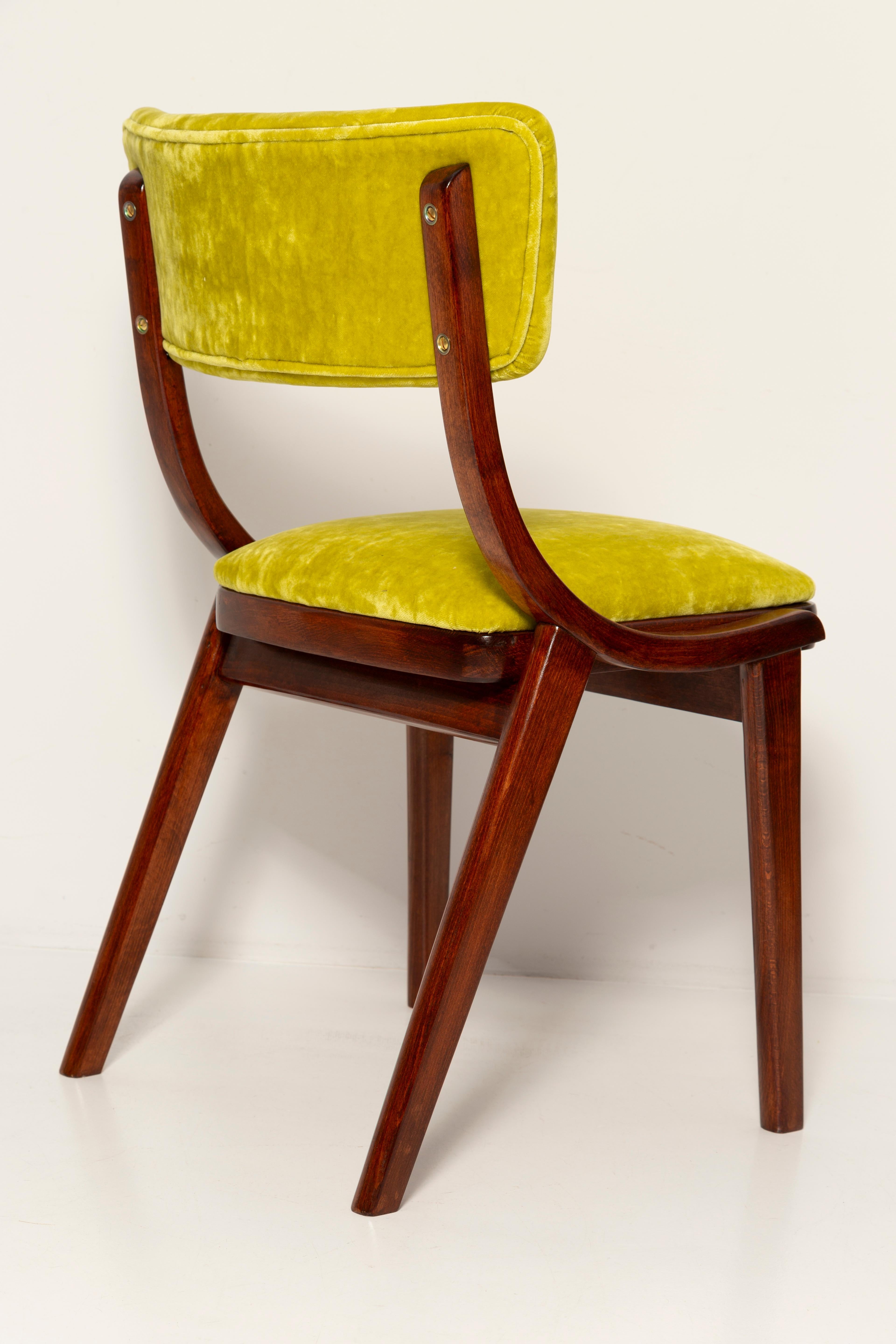 Leather Ten Mid Century Modern Bumerang Chairs, Lime Velvet Plushy Dedar, Poland, 1960s For Sale