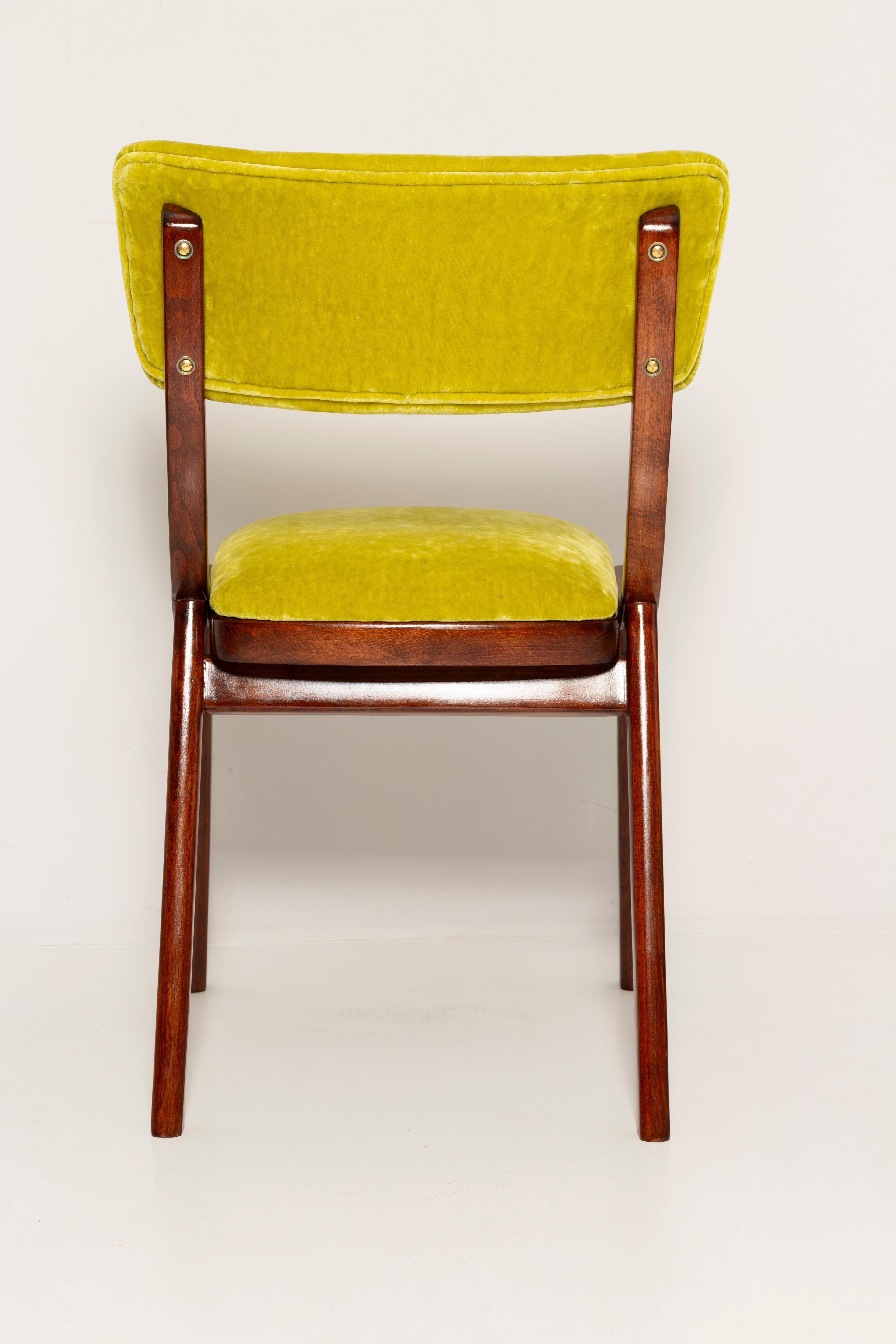 Ten Mid Century Modern Bumerang Chairs, Lime Velvet Plushy Dedar, Poland, 1960s For Sale 1