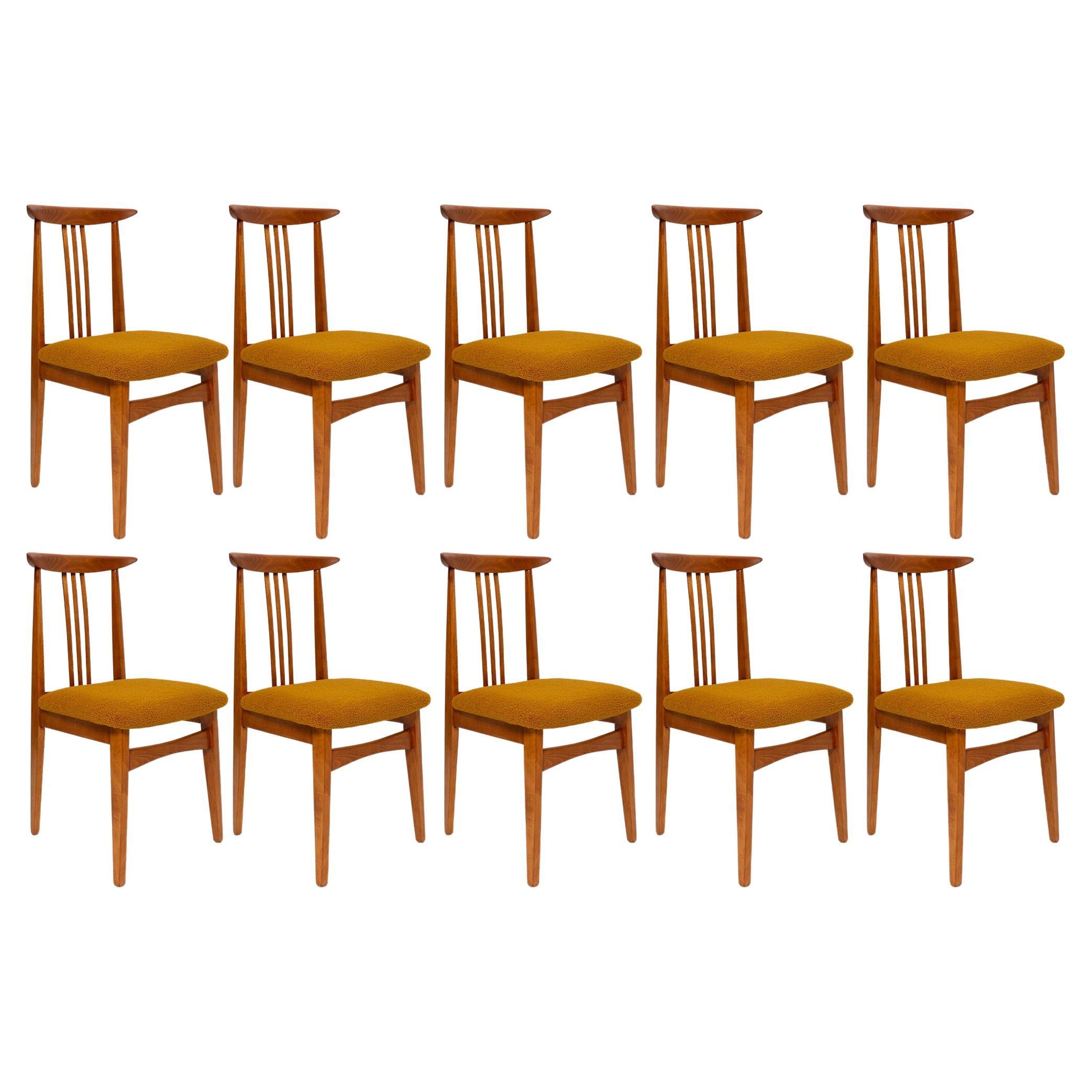 Ten Mid-Century Ochre Boucle Chairs, Medium Wood, M. Zielinski, Europe, 1960s