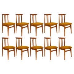 Ten Mid-Century Ochre Boucle Chairs, Medium Wood, M. Zielinski, Europe, 1960s