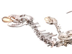 Ten Skull Bone Chandelier