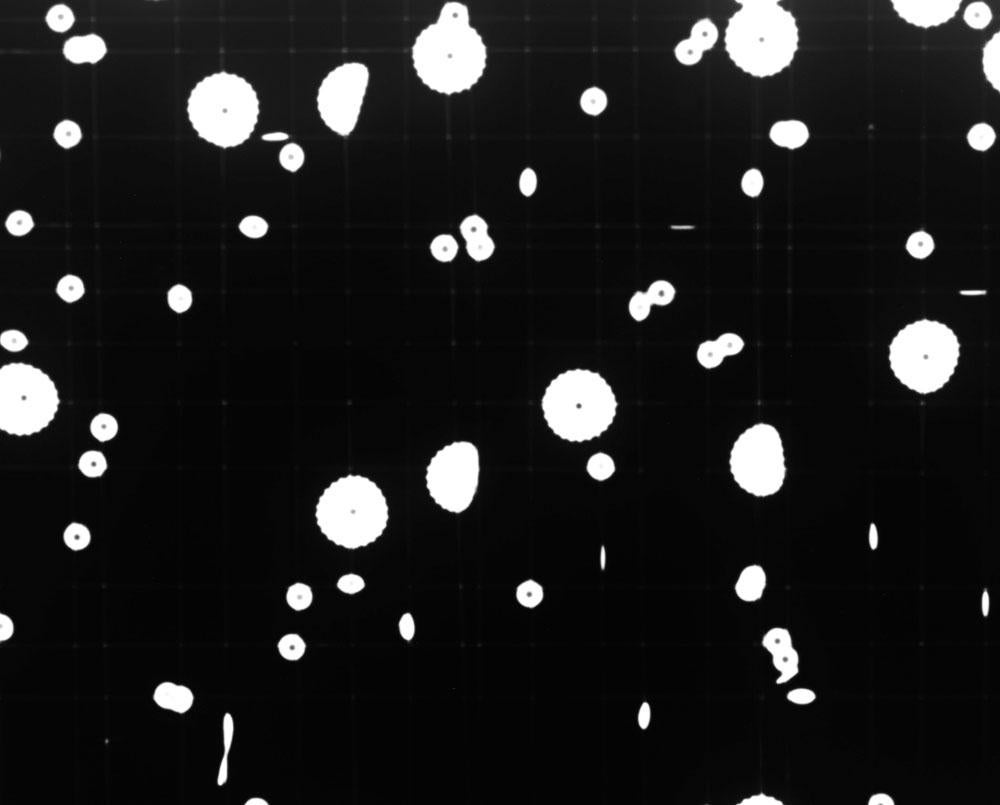 Radius (Abstract photography) - Black Abstract Photograph by Tenesh Webber