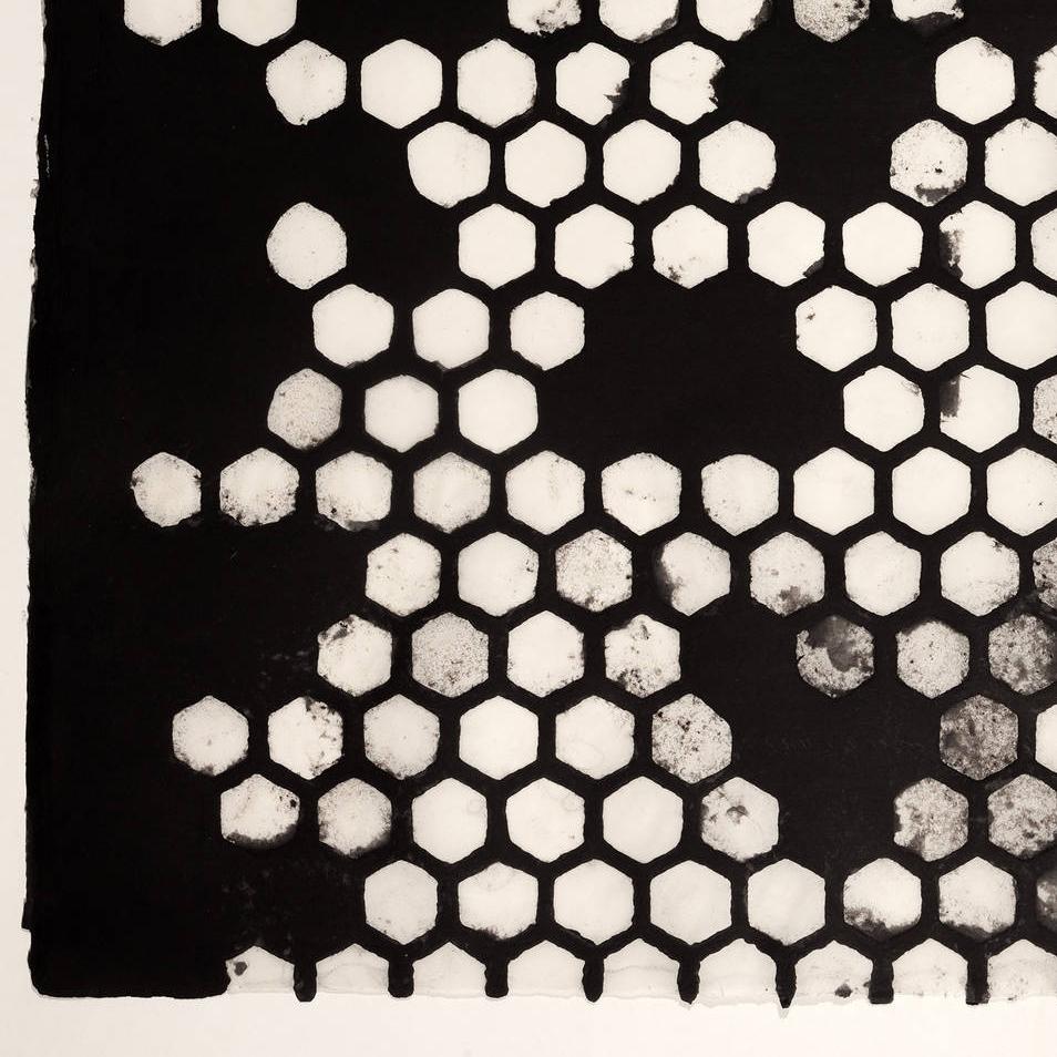 Hexagones noirs en vente 2