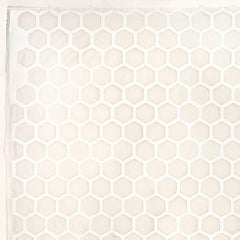 White Hexagons