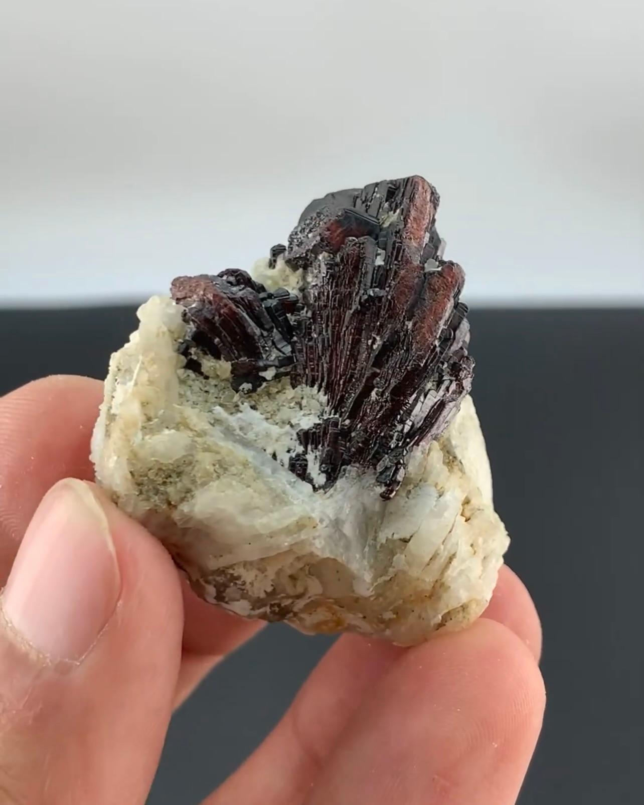 Terminated Mangano Tantalite Cluster On Cleavelandite From Afghanistan For Sale 4