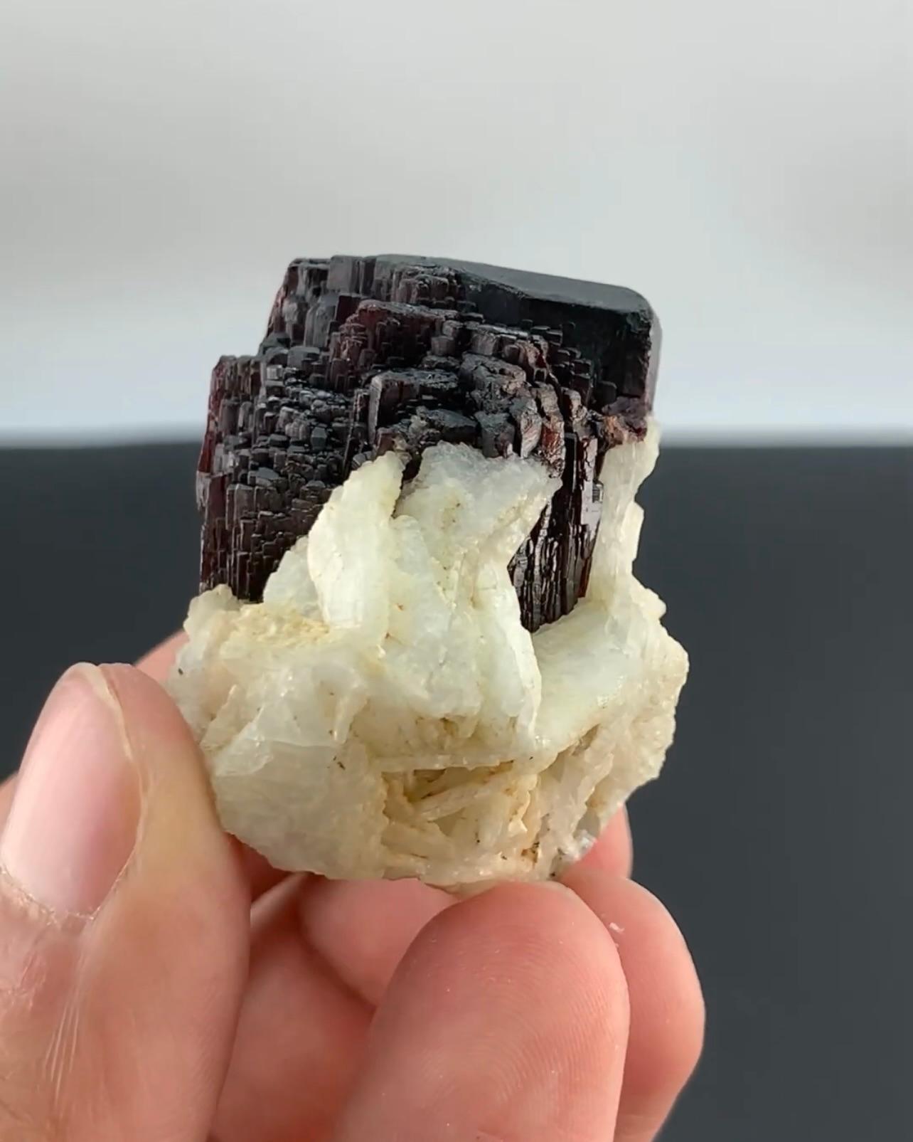 Terminated Mangano Tantalite Cluster On Cleavelandite From Afghanistan For Sale 5