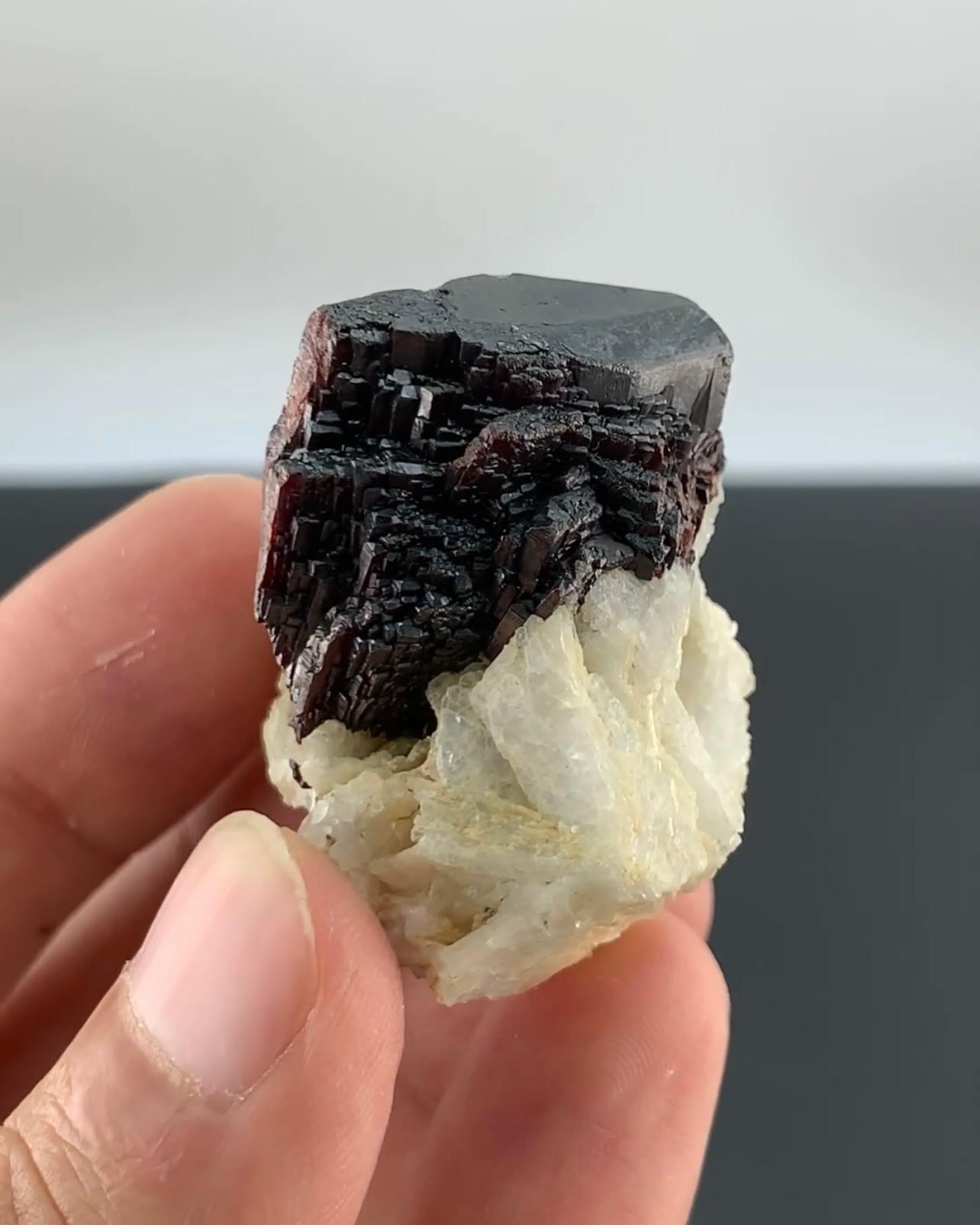 Terminated Mangano Tantalite Cluster On Cleavelandite From Afghanistan For Sale 6