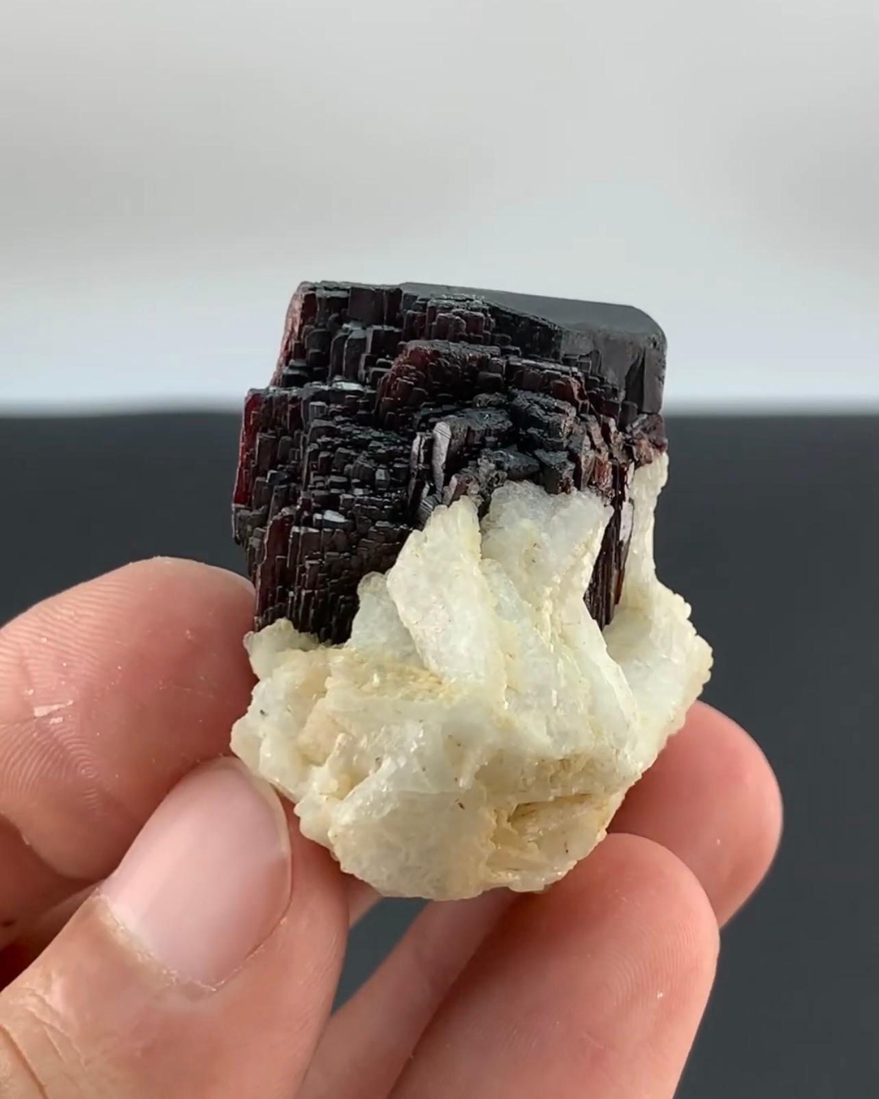 Product Information:

Specimen Type: Tantalite crystals on Cleavelandite 

Weight: 75 grams

Dimension: H: 3.8 x W: 3.6 x D: 3.1 cm

Origin: Darrah I Pech, Chapa Dara District, Kunnar Province, Afghanistan

Treatment: None

Description:

The