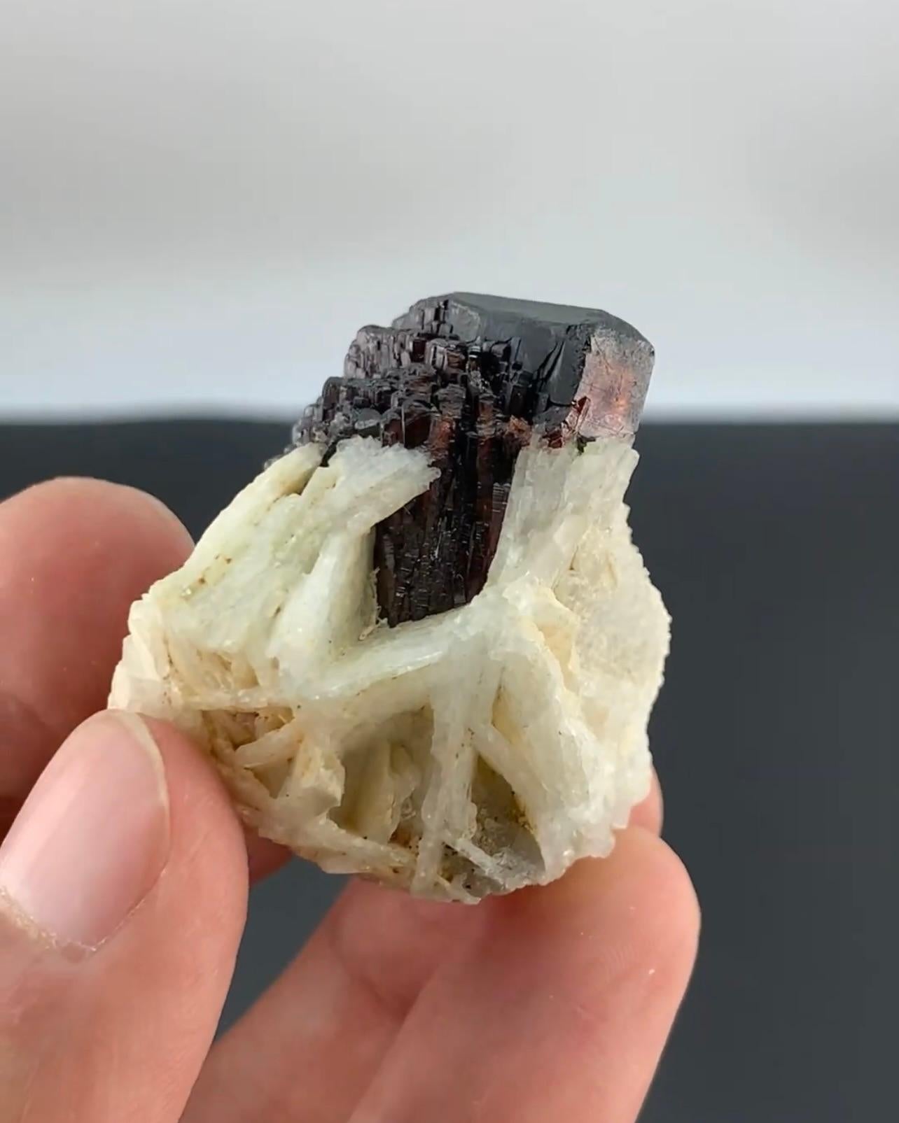 Modern Terminated Mangano Tantalite Cluster On Cleavelandite From Afghanistan For Sale