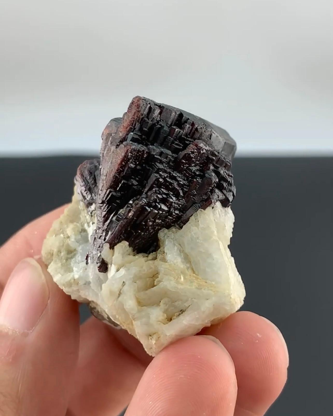 Terminated Mangano Tantalite Cluster On Cleavelandite From Afghanistan For Sale 2