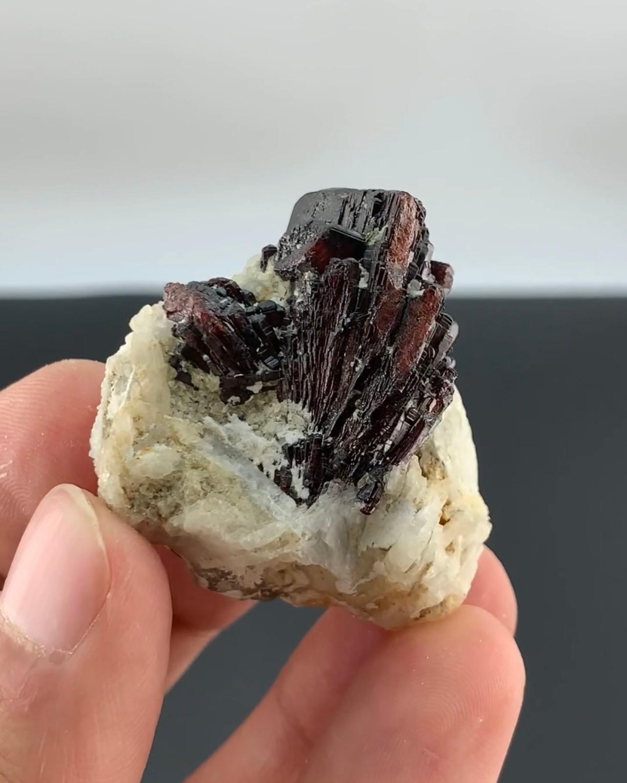 Terminated Mangano Tantalite Cluster On Cleavelandite From Afghanistan For Sale 3