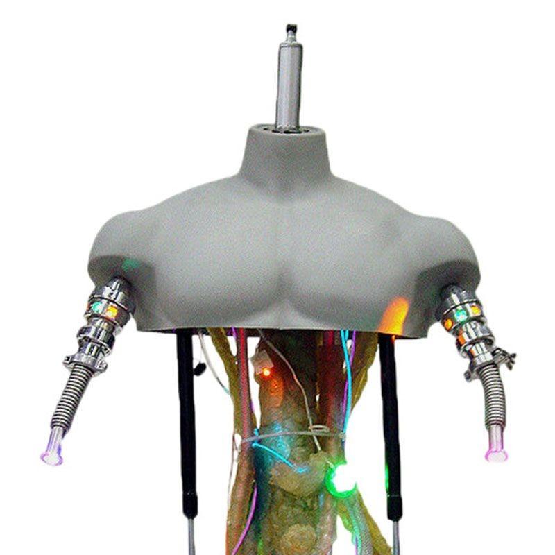 Torse prototype Terminator Model-101