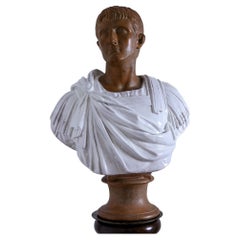 Terra-Cotta Bust of a Roman Senator