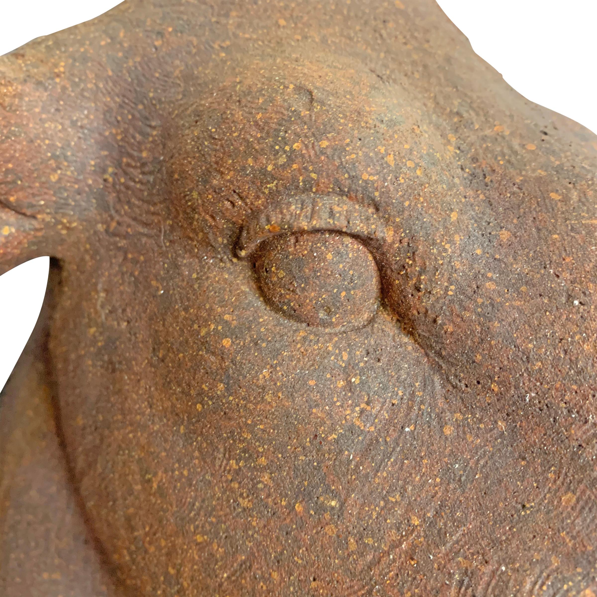 American Terracotta Cow Head