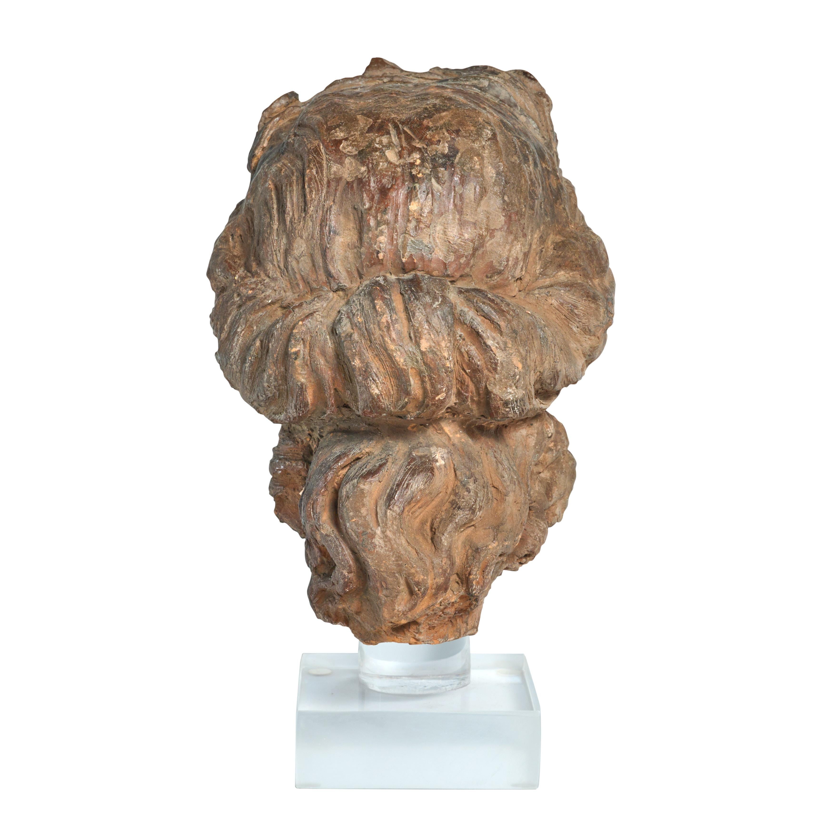 Italian Terra Cotta Statue Fragment Depicting a Classic Woman's Head For Sale