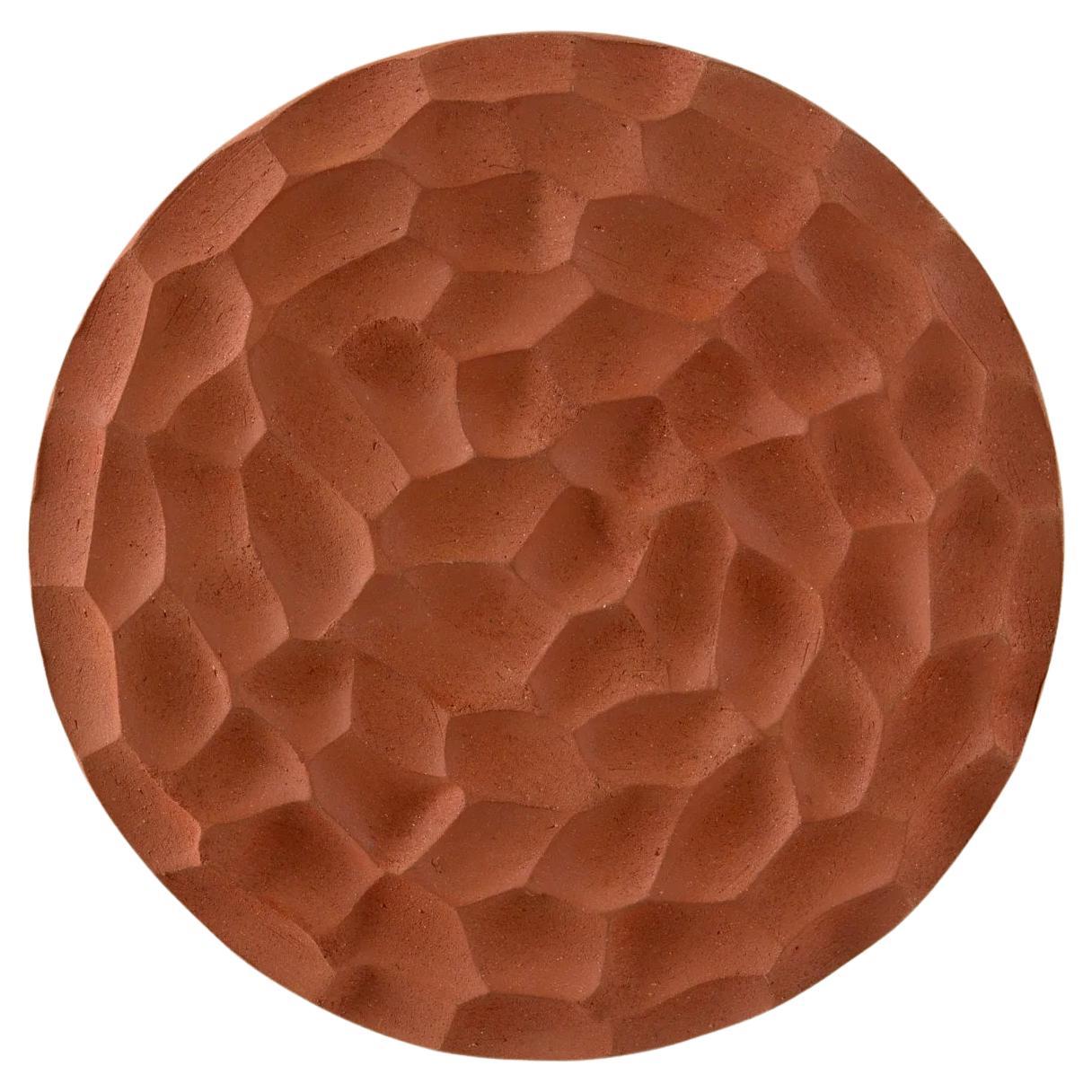 Applique Terra Disc de Hatsu