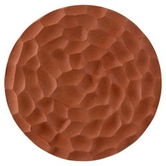 Applique Terra Disc de Hatsu