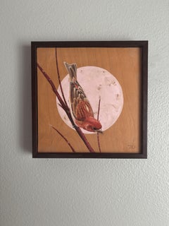 "Fringuello di casa" - Pittura animale a olio su Wood