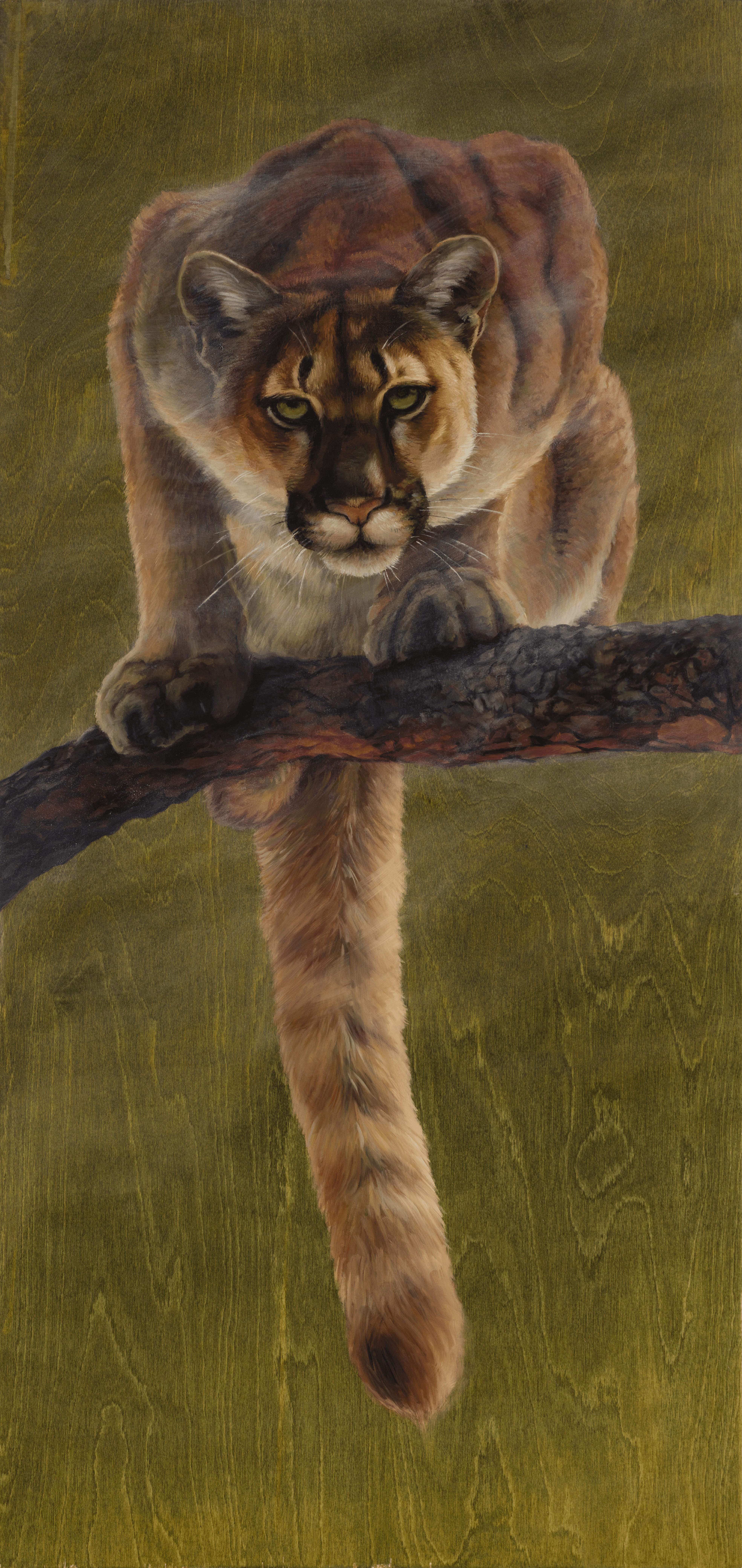 "Cacciatore silenzioso" - Pittura animale ad olio su Wood (2025)