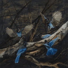 "Stellar Jays on Birch" - Realist Animal Still-Life, Oil Painting