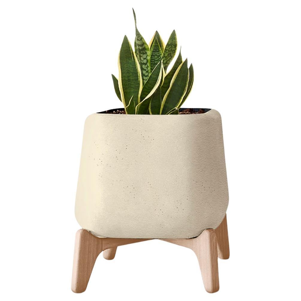 Terra Square Sandstone Planter With Natural Wood Base by Indigenus