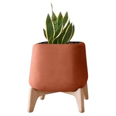 Fioriera quadrata in terracotta con base in Wood Wood di Indigenus