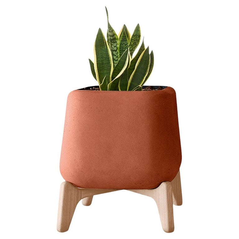 Terra Square Terracotta Planter With Natural Wood Base by Indigenus For  Sale at 1stDibs