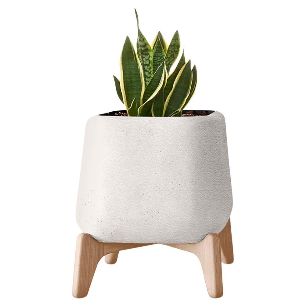 Terra Square White Planter With Natural Wood Base by Indigenus