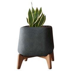 Fioriera Terra Square XS nera con base in Wood oliato di Indigenus