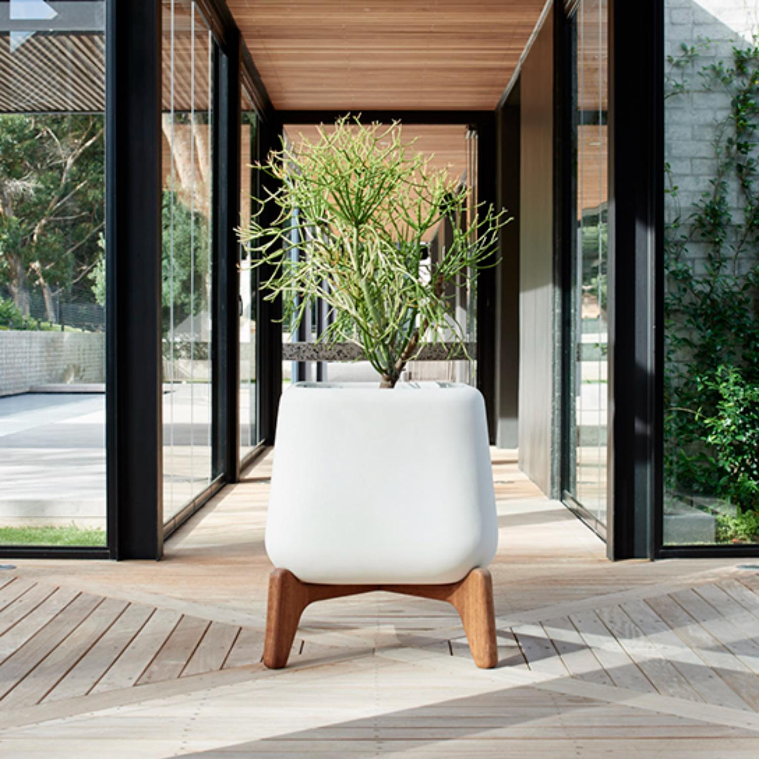 Terra Square XS Brown Planter With Oiled Wood Base by Indigenus For Sale 5