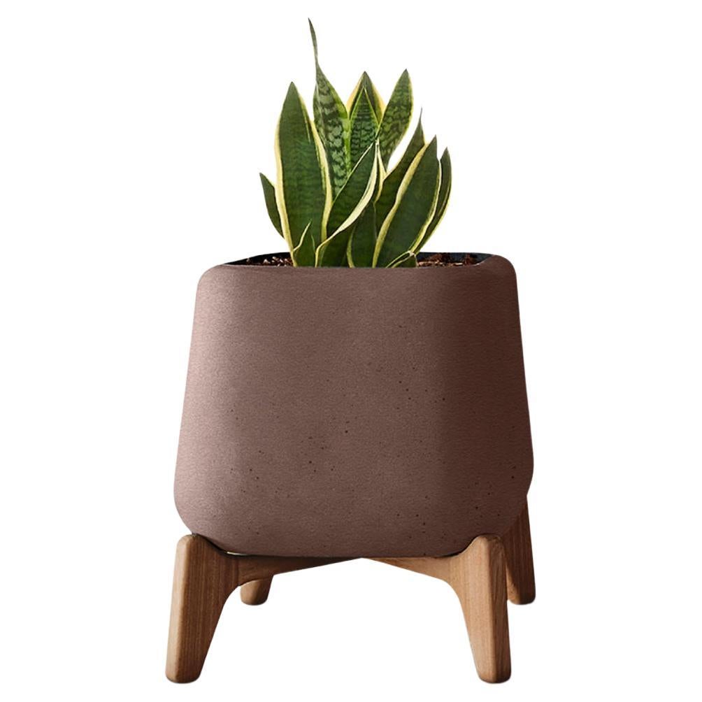 Terra Square XS Brown Pflanzgefäß mit geöltem Holzsockel von Indigenus