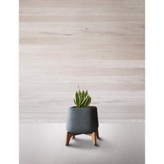 Terra Square XS Grey Planter With Oiled Wood Base by Indigenus