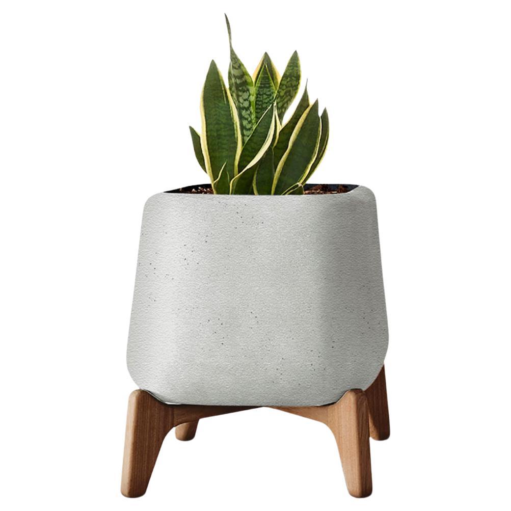 Terra Square XS Graues Terra-Pflanzgefäß mit geöltem Holzsockel von Indigenus, quadratisch