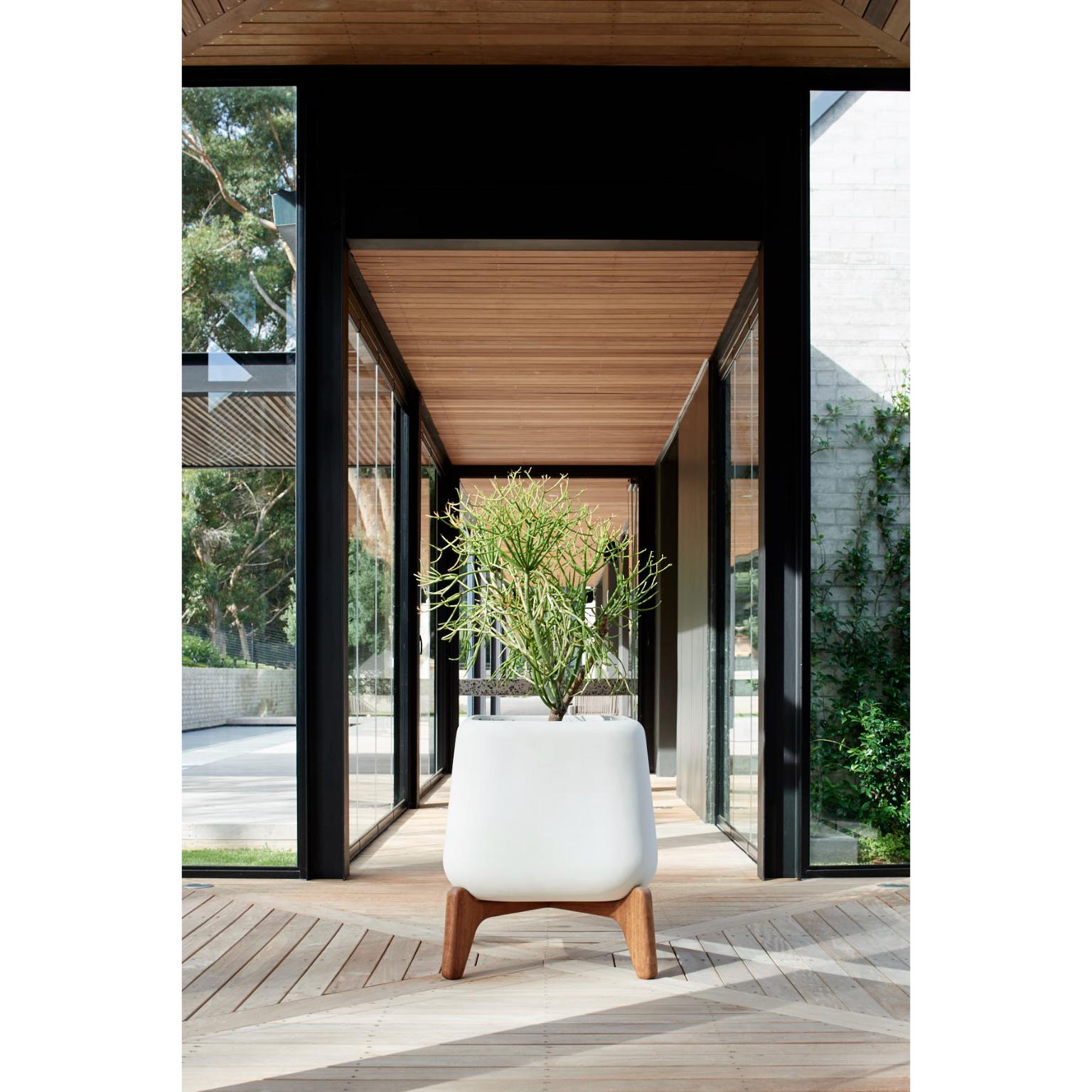 Terra Quadratisches XS Sandstein-Pflanzgefäß aus Terra mit geöltem Holzsockel von Indigenus im Angebot 5