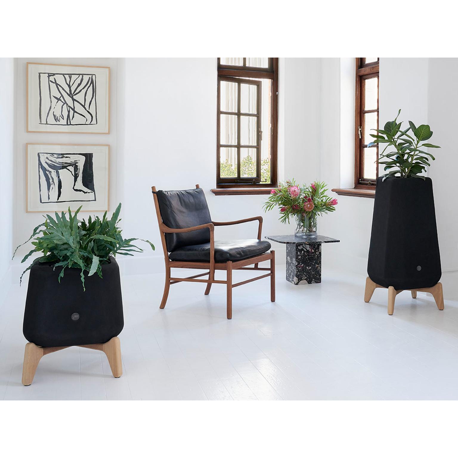 Terra Quadratisches XS Sandstein-Pflanzgefäß aus Terra mit geöltem Holzsockel von Indigenus im Angebot 7